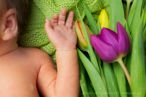 neugeborenenfotografie ostern